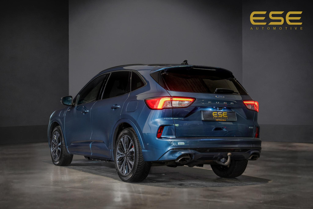 53241122-2.jpg